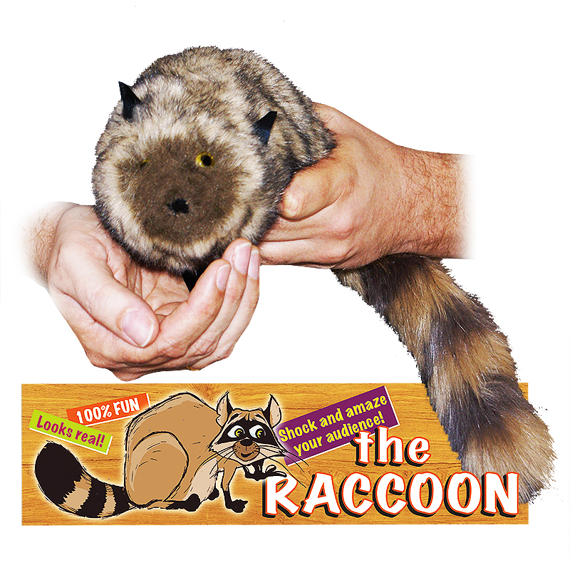 Robbie Raccoon